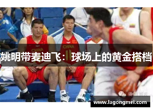姚明带麦迪飞：球场上的黄金搭档