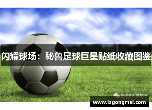 闪耀球场：秘鲁足球巨星贴纸收藏图鉴
