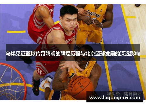 鸟巢见证篮球传奇姚明的辉煌历程与北京篮球发展的深远影响