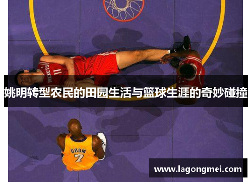 姚明转型农民的田园生活与篮球生涯的奇妙碰撞